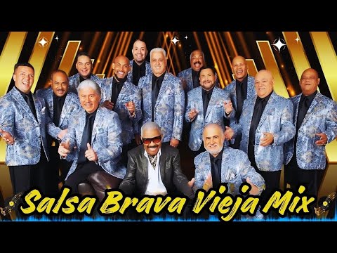 Salsa Brava Vieja Mix 👑 Héctor Lavoe, Willie Colón, Gran Combo, Niche, Ismael Rivera