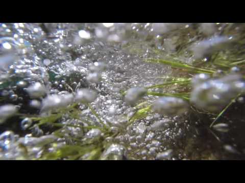 What's Inside Of A Active River (1080P)