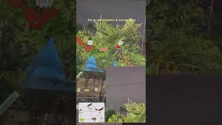 Download lagu Bisikanlah terimakasih pada diri sendiri (hebat dia) mp3