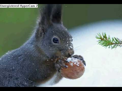 J.S.F. Krondon ft. Phil da Agony - self scientific