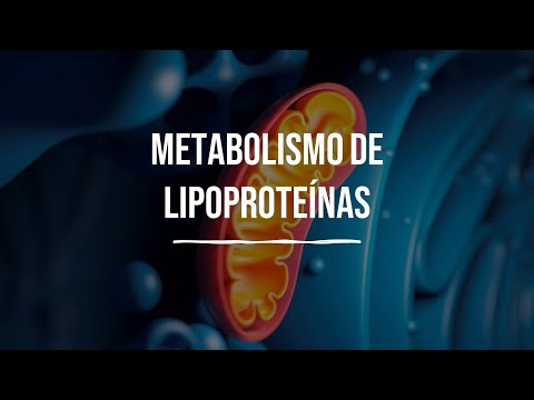 Metabolismo de las lipoproteinas - Metabolismo de Lípidos - Bioquímica - Lic. en Nutrición