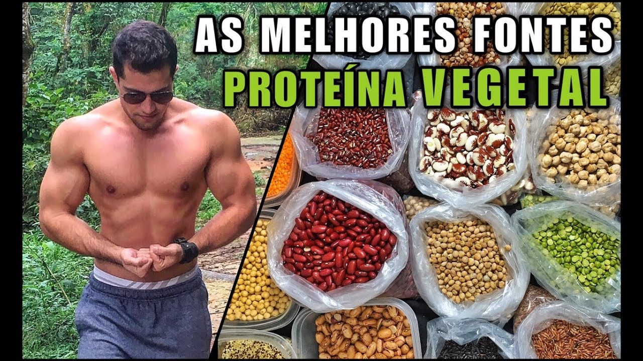 As Melhores Fontes de Proteína Vegetal para Definição Muscular