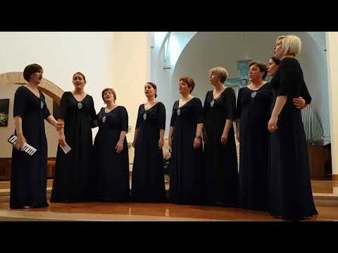 Klapa Amfora - Bože čuvaj Hrvatsku