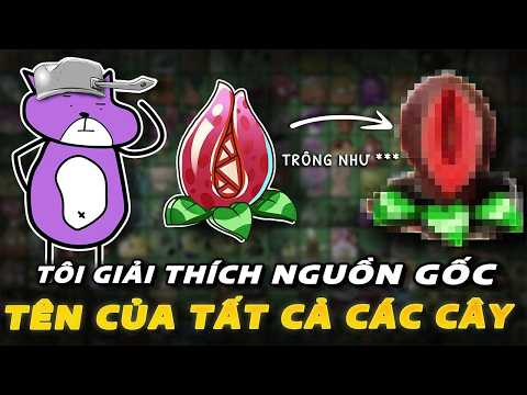 Tôi giải thích nguồn gốc và cái tên của tất cả cây trong Plants vs Zombies