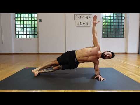 Side Plank with Shoulder Rotation: Obliques and Core Stability (Side Plank Shoulder Rotation)