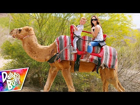 Download A OK For Kids Camel Ride Mp3 dan Mp4 2019