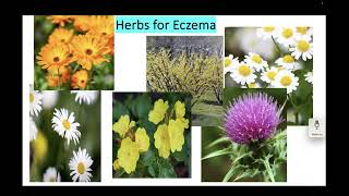 WANP 2026 - Uprooting Eczema from the Inside Out: A Naturopathic & Homeopathic Approach