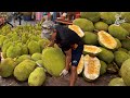 Giant Jackfruit Full Clip Thai Fruit Center 🫵