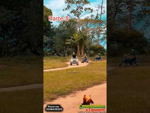 Tauramena turística 🦚🐐🦜🗿⛰️⛩️🌁⛰️🛕(parte 3) #SafariLlanero #capibara #casanarecolombia