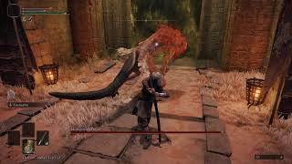 Misbegotten Warrior Crucible Knight duo with Sekiro Deflection and Dodge mod