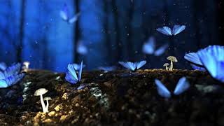 Blue Nature - Original Piano Improvisation (Easy Listening)