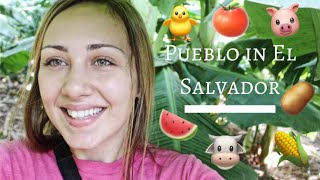 Rural Life (Usulután, El Salvador)