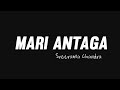 Mari Antaga Seethamma Vakitlo Sirimalle Chettu