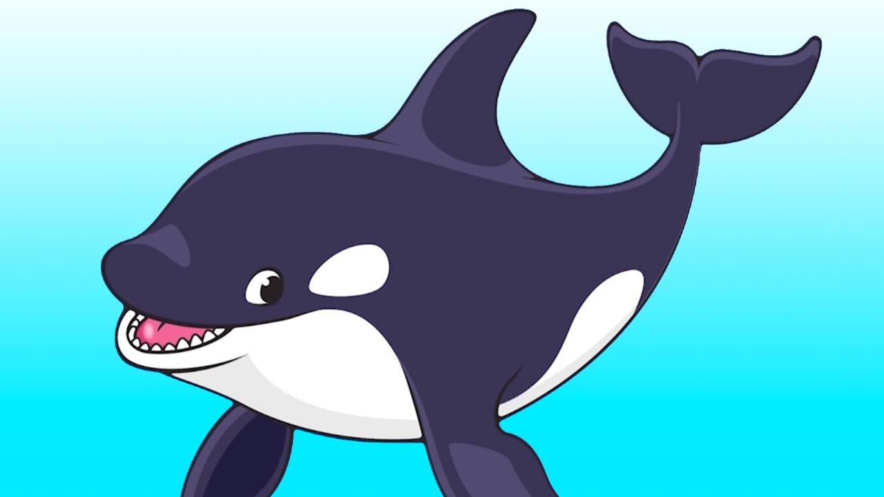 Learn Aquarium Animals | Talking Flashcards