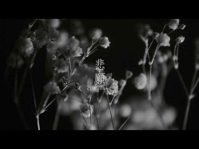 GLAY、伝説のベストアルバム『DRIVE』の後継作が23日、2タイトル同時発売。また、収録曲「悲願 GLAY feat.小田和正」のMVや6万票の投票者名で作り上げたビジュアルを公開! 5 YouTubeサムネイル