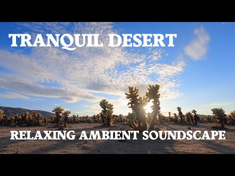 Relaxing Ambient Soundscape - Windy Desert - Wildlife Sounds - Tranquil/Desolate Ambience