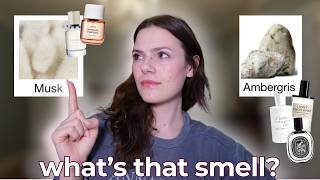 Skin Scents Are Everywhere – But Are They Worth It?