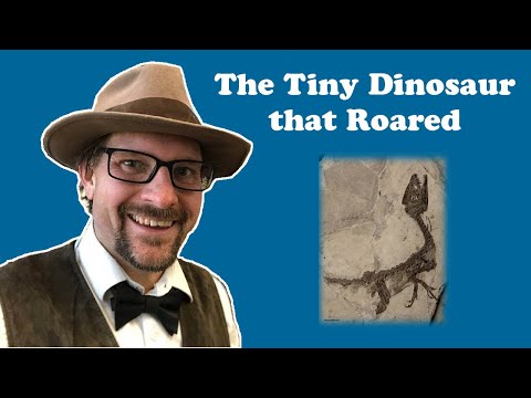 The Tiny Dinosaur that Roared: the story of Scipionyx