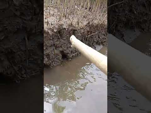 ogdok PANO hulihin😱😱😱😱😱💞💝❣️❣️💓💖❤️💕☺️💗💗💘🥰😂😍