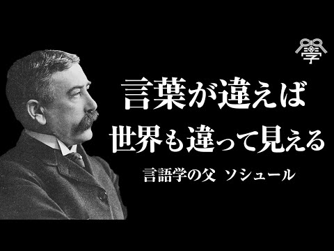 ソシューレ - 定義