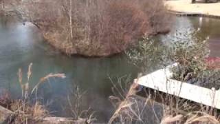 187 East River Bend Drive Lake Oconee Greensboro, GA 31024