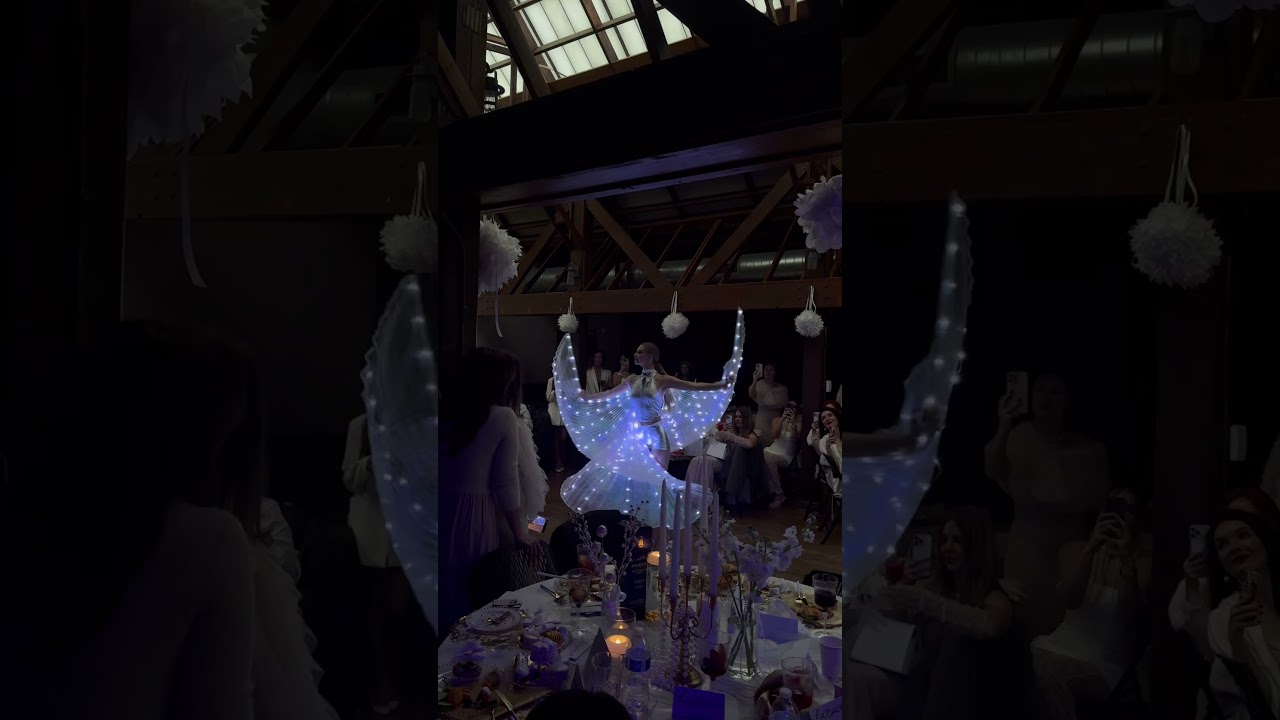 Promotional video thumbnail 1 for LED Wings Show