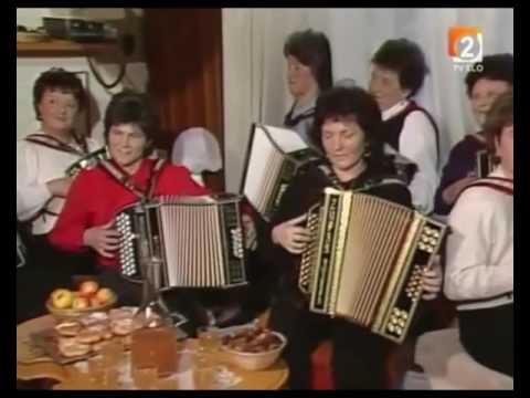 Harmonikarski orkester Vesela skupina - Trzinka