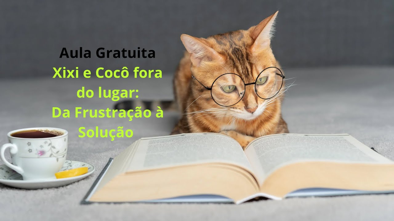 Aula Exclusiva: Como Resolver o Xixi e Cocô Fora da Caixa