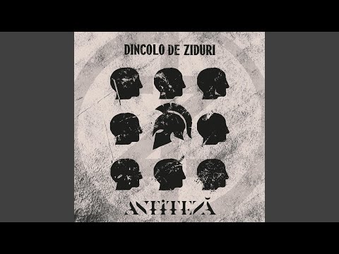 Sintetic (feat. Octavian ”vita” Horvath)