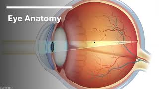  Pharmacological Treatments for Nystagmus Video