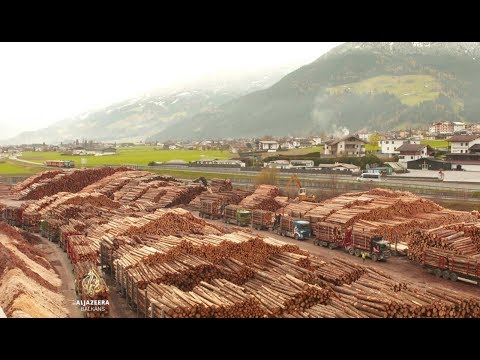 Drvo kao građevinski materijal opet u modi