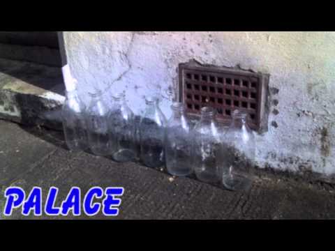 Graham Gouldman - No Milk Today - 10cc