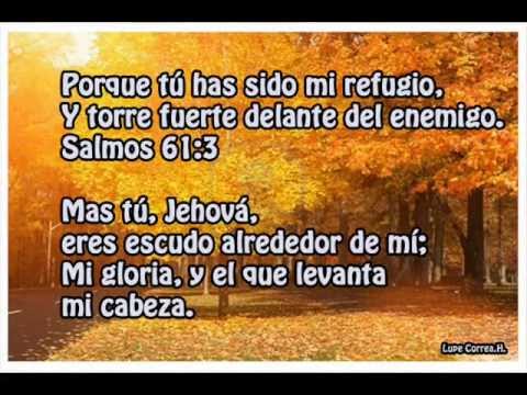 Mi Refugio video