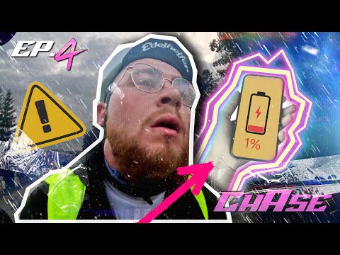 Roofless Cat and 5 more