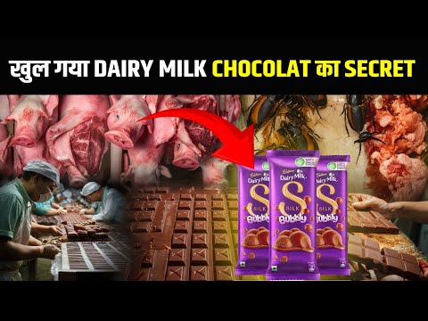 देखिये FACTORY में DAIRY MILK कैसे बनती है | Dairy milk kaise banti hai | Chocolate kaise banti hai