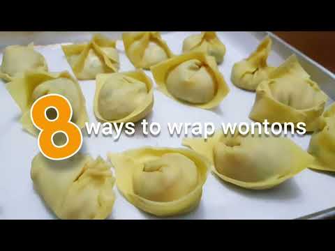 Learn 8 Wonton Wraps in Under 5 Minutes!