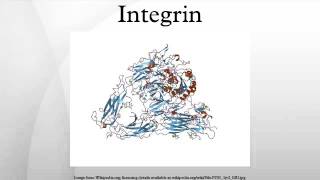Integrin