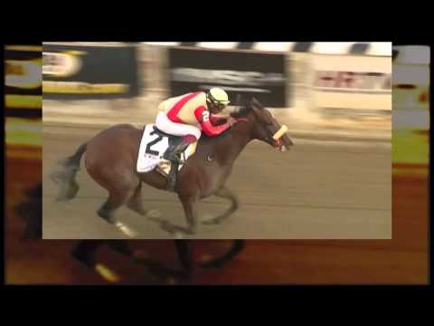 Wicked Strong - TVG 2014 Kentucky Derby Profile