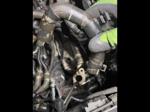 Volkswagen Transporter t6 Egr