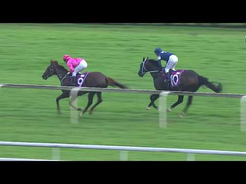 Queen Elizabeth II Cup 2019 (I'm Incredible)