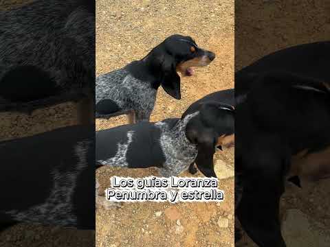 Cascada salto de la Índia - playón Santander