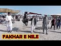 Fakhar e Nilie فخر نیلی  l Horse Dance l Baba Khera KHazana Rati Tibi Safdarabad 2024