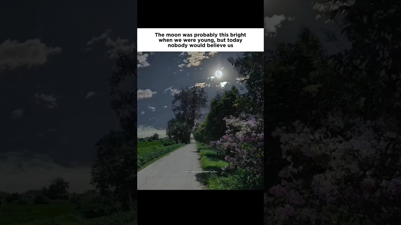 Childhood nostalgia 🪄 #shorts #nostalgia #relatable #shortsfeed #trending #nostalgic #core #fyp #yt