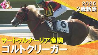 【金色の戦士】母父はオルフェーヴル・ゴルトクリーガーが断然人気に応えてデビュー勝ち！松山騎手「強い競馬だったと思う」2026年10月11日(日)２歳新馬　京都芝2000m　実況：岡安譲【カンテレ公式】