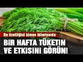 BENEFITS OF DILL Harms Of Dill