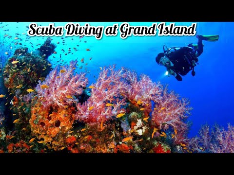 SCUBA DIVING FOR THE FIRST TIME II GRAND ISLAND GOA II DOLPHINS ON THE  WAY II GOA SERIES PART- 2