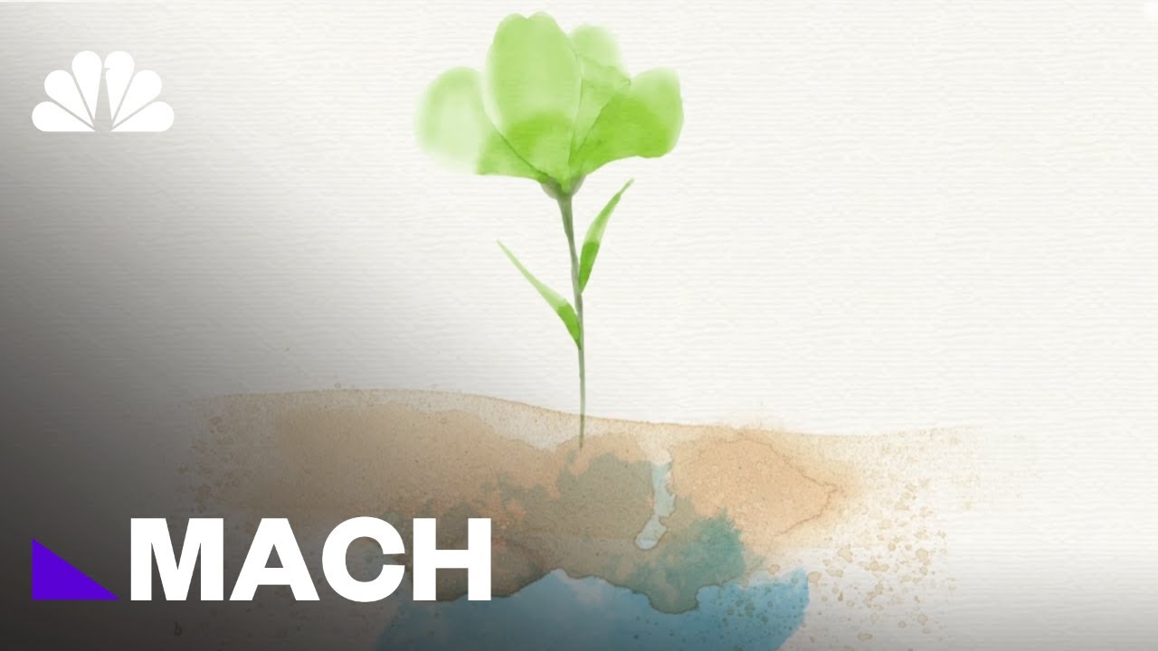 Keeping Earth Alive: How Photosynthesis Is Essential To Our Survival | Mach | NBC News