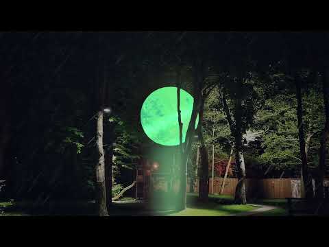 WhaleSounds - Miesto šviesos