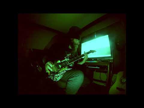 #swola47 - sTRUDEL - DaisyandCharlotteGoForaWalk - #sundaywitholariffchallenge