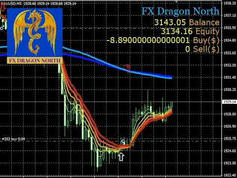 Video FX Dragon North Indicators